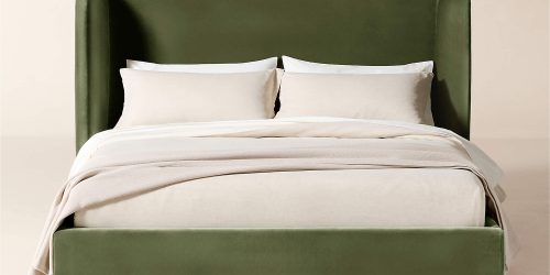 Sage Green Velvet Queen Bed Saga Green Velvet Queen Bed